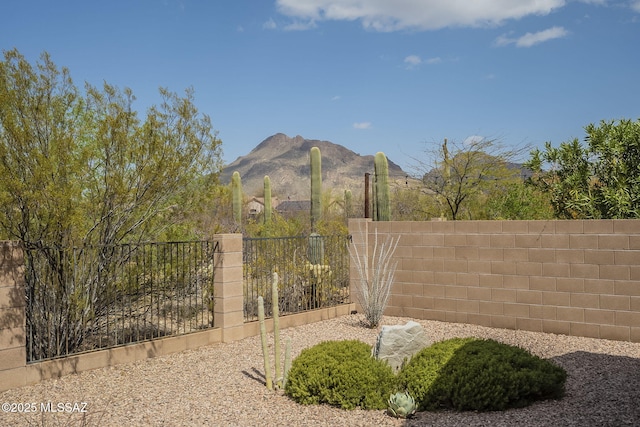 view of mountain feature