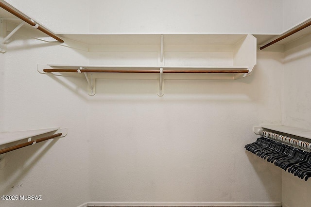 view of spacious closet