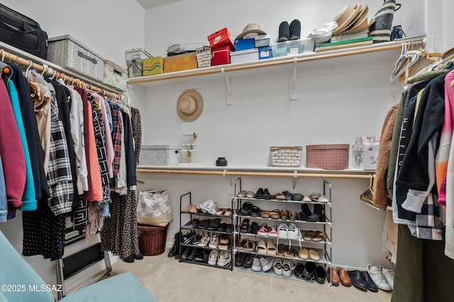 spacious closet with carpet floors