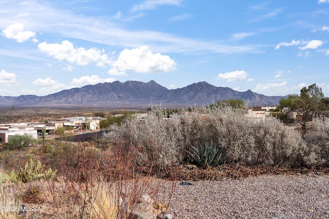 view of mountain feature