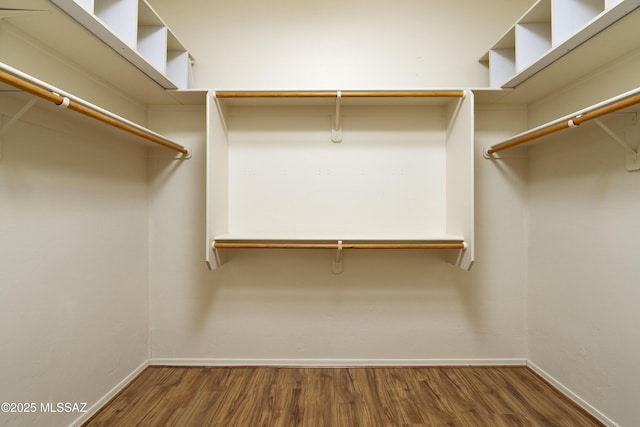 walk in closet featuring wood finished floors