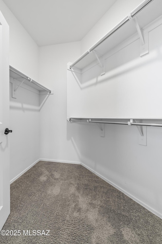 walk in closet with carpet