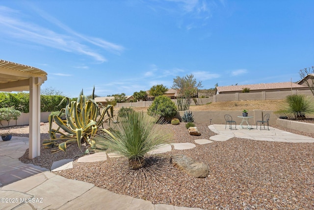 view of yard featuring a patio and a fenced backyard