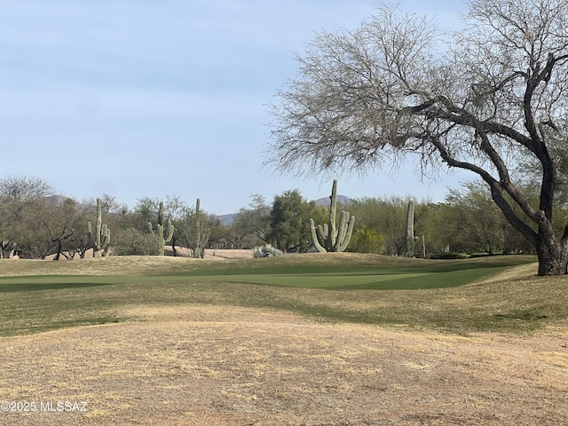 view of community with view of golf course and a yard