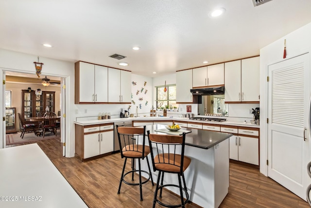 4720 E Wagon Train Rd, Tucson, AZ 85739 - kitchen with under cabinet range hood, dark wood-style floors, visible vents, and appliances with stainless steel finishes