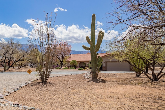 4720 E Wagon Train Rd, Tucson, AZ 85739 - view of front of house featuring stucco siding and an attached garage