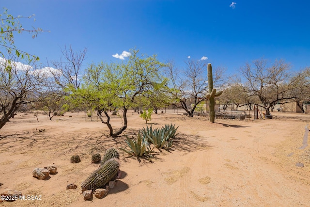 4720 E Wagon Train Rd, Tucson, AZ 85739 - view of yard