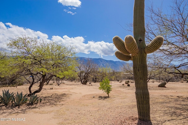 4720 E Wagon Train Rd, Tucson, AZ 85739 - property view of mountains