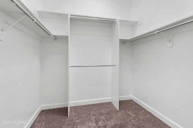 walk in closet featuring carpet