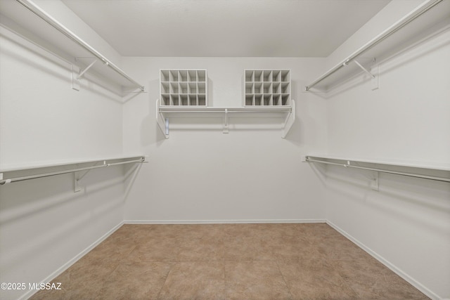 view of walk in closet