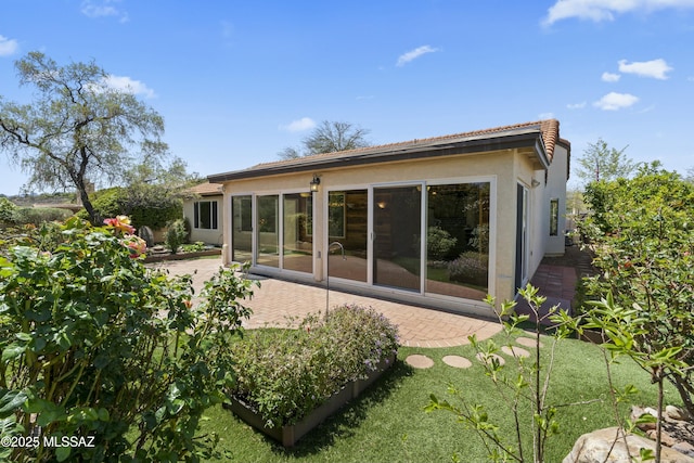 back of property featuring a tile roof, a patio, and stucco siding