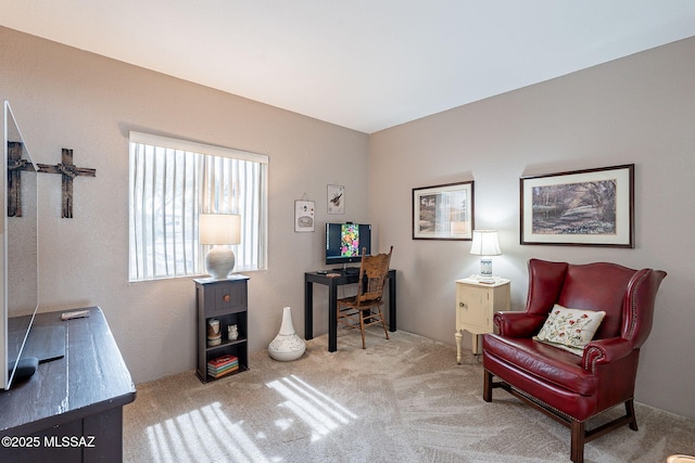 307 N Calle Del Chancero, Green Valley, AZ 85614
