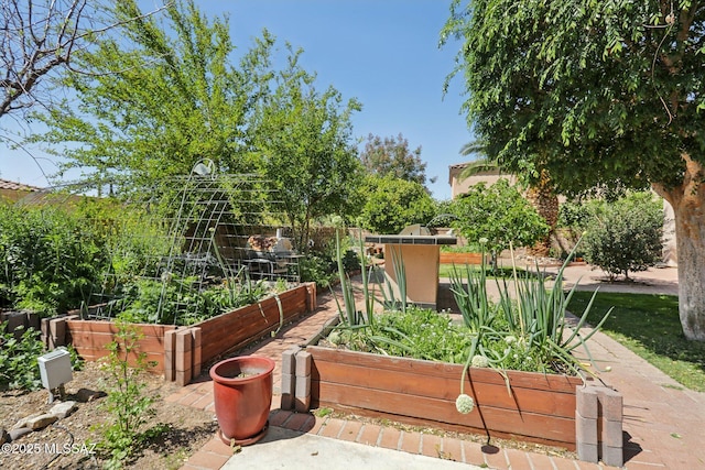 view of yard featuring a garden