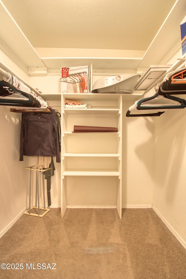 spacious closet with carpet