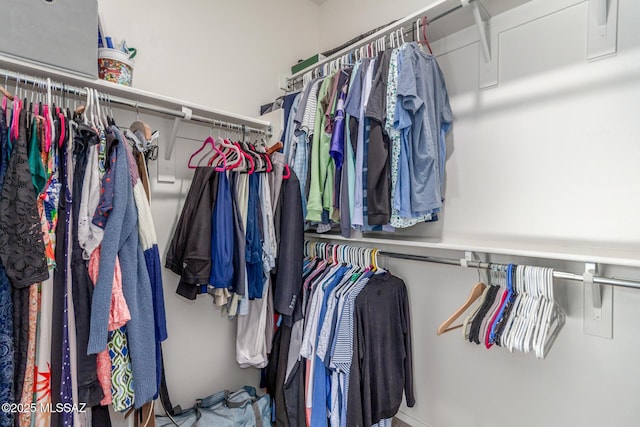 view of spacious closet