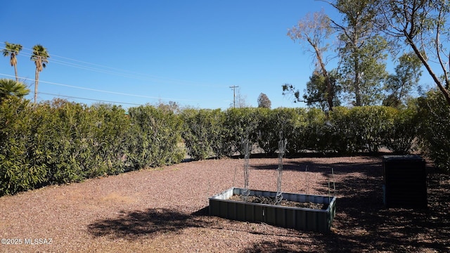 view of yard with a vegetable garden
