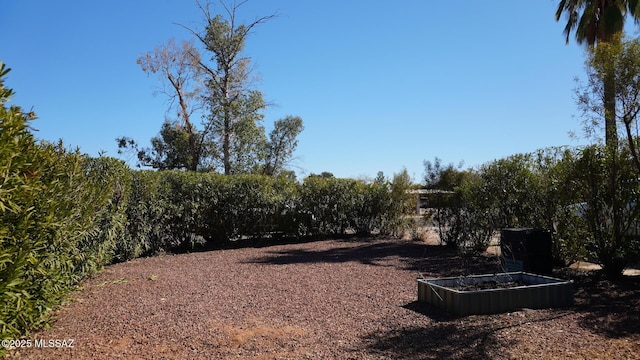 view of yard with a garden