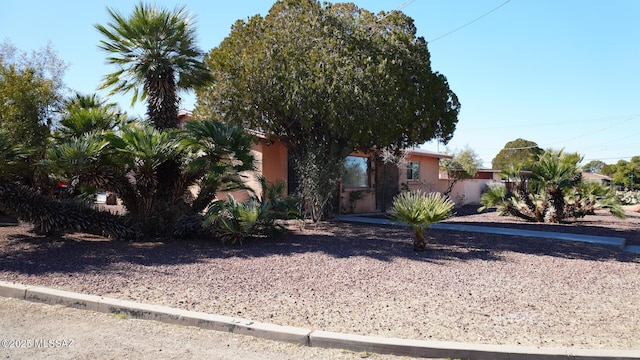 view of property hidden behind natural elements with stucco siding