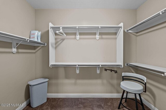 walk in closet with carpet flooring