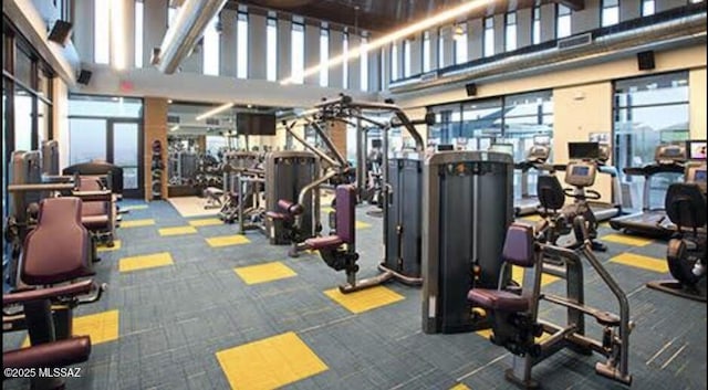 workout area featuring carpet floors and a high ceiling