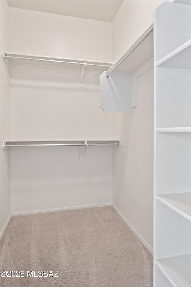 walk in closet featuring carpet floors