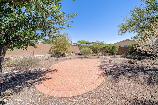 view of yard with a patio area and a fenced backyard