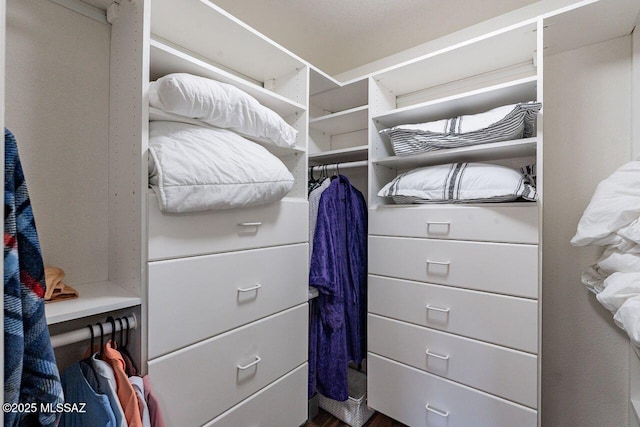 36526 S Wind Crest Dr, Tucson, AZ 85739 - view of spacious closet