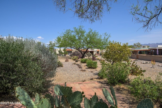 view of yard with a patio area