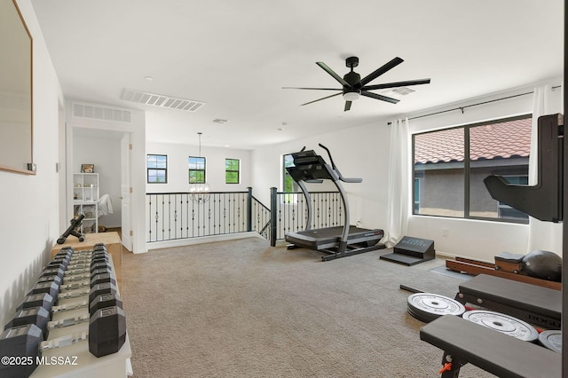 14239 E Axle Dr, Vail, AZ 85641 - workout area with ceiling fan and carpet flooring
