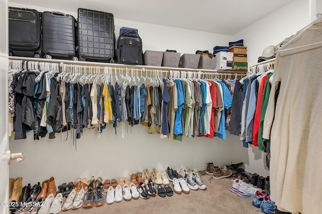 14239 E Axle Dr, Vail, AZ 85641 - walk in closet with carpet floors
