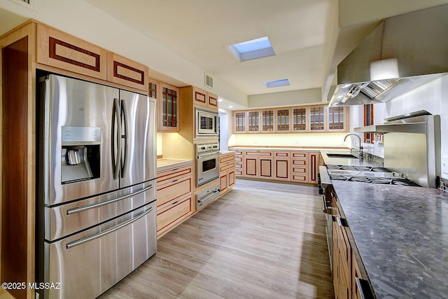 kitchen featuring light wood finished floors, a sink, visible vents, ventilation hood, and appliances with stainless steel finishes
