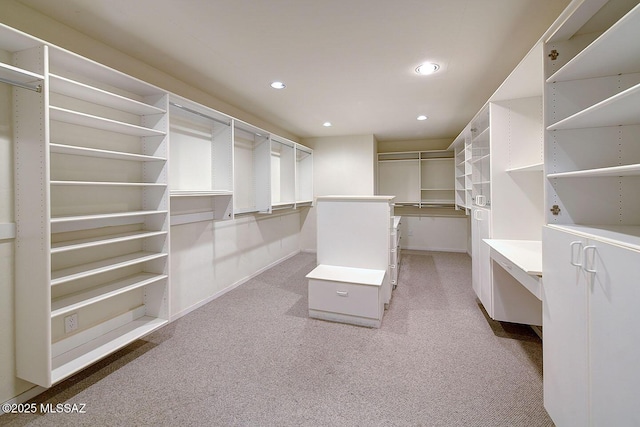 spacious closet featuring light carpet