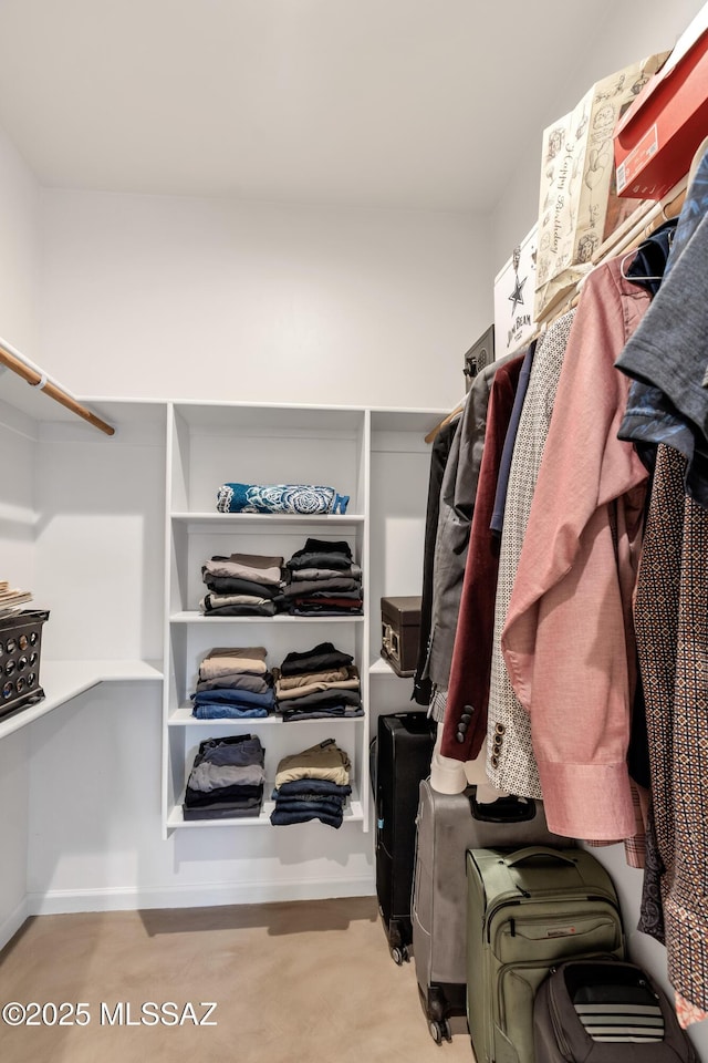 view of walk in closet