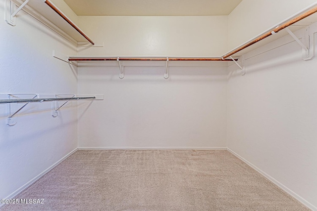 4661 S Desert Grove Ct, Green Valley, AZ 85622 - walk in closet featuring carpet floors