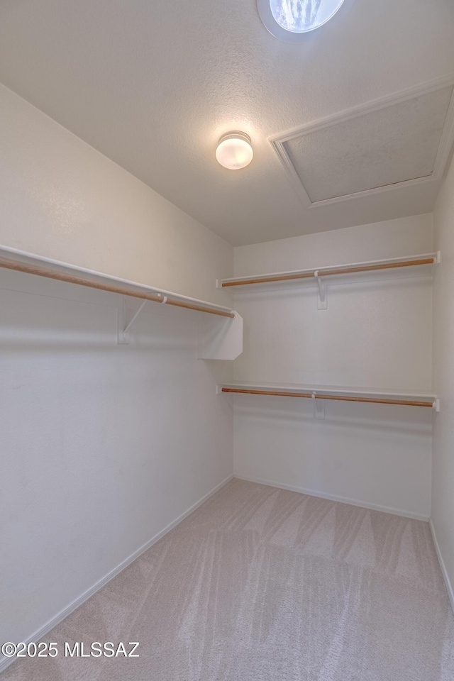 walk in closet with carpet floors and attic access