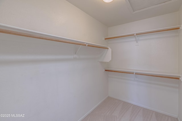 spacious closet featuring carpet floors
