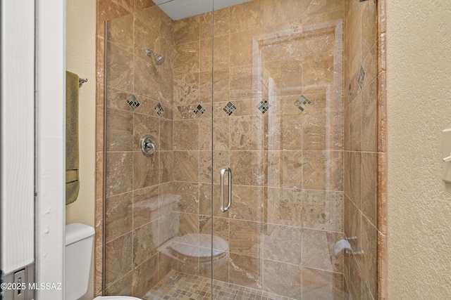 bathroom with a stall shower and toilet
