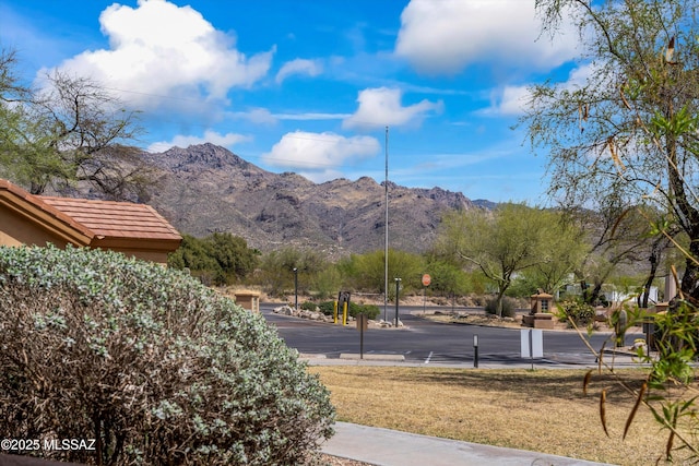 7050 E Sunrise Dr Unit 1104, Tucson, AZ 85750 - view of mountain background