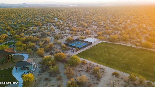 7415 W Cactus Flower Pass, Marana, AZ 85658 - drone / aerial view