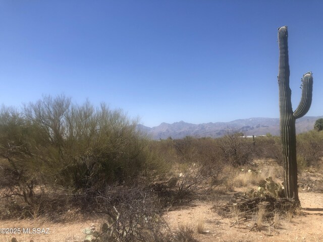 1470 S Melpomene Way, Tucson, AZ 85748