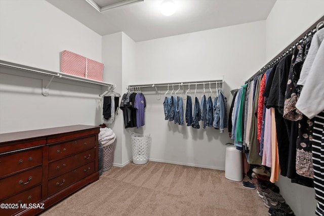 33743 S Ballad Dr, Red Rock, AZ 85145 - walk in closet featuring light carpet and attic access