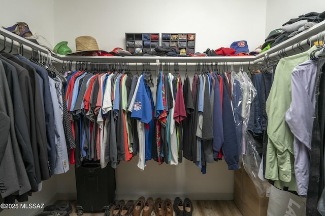 2301 W Montrose Pl, Tucson, AZ 85741 - walk in closet with wood finished floors