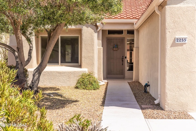 doorway to property featuring stucco siding