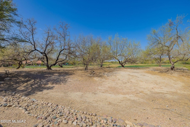 6091 N Golden Eagle Dr, Tucson, AZ 85750 - view of yard