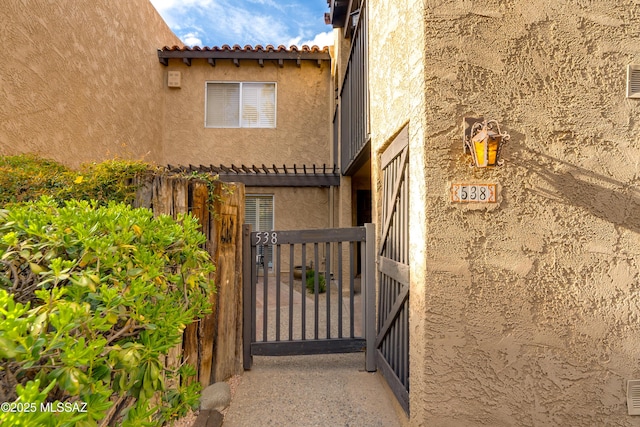 538 N Dodge Blvd, Tucson, AZ 85716 - view of gate