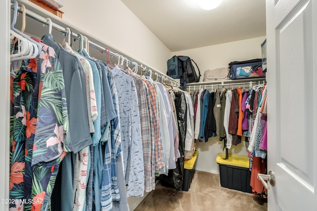 spacious closet featuring carpet floors