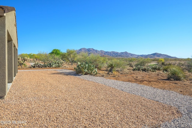 view of yard featuring a mountain view