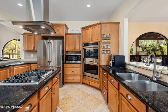 kitchen featuring island exhaust hood, a sink, plenty of natural light, and stainless steel appliances