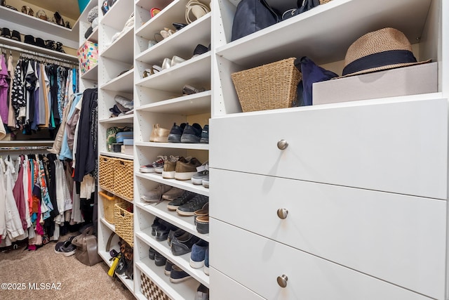 spacious closet featuring carpet flooring