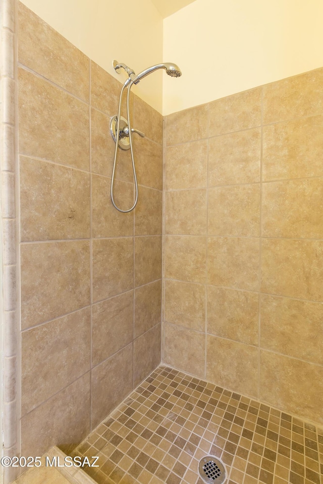 3256 E Terra Alta Blvd, Tucson, AZ 85716 - bathroom with a tile shower